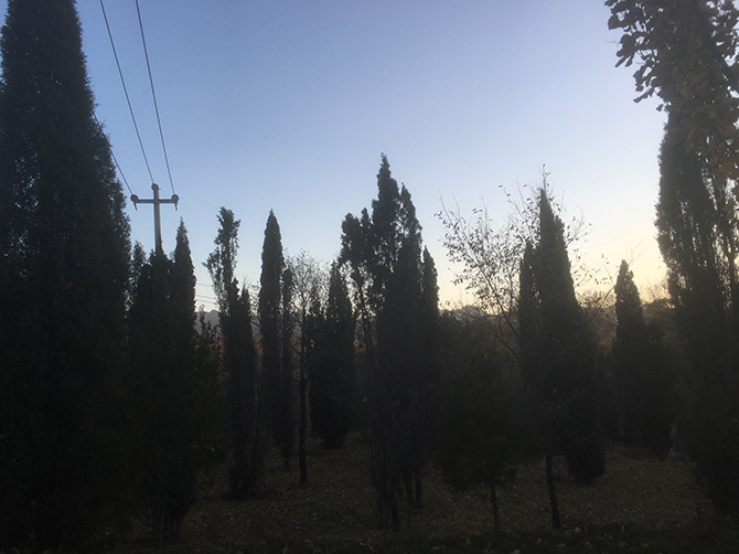 46d1ca72d2ab4494b03bc4d429e7dbae.jpg