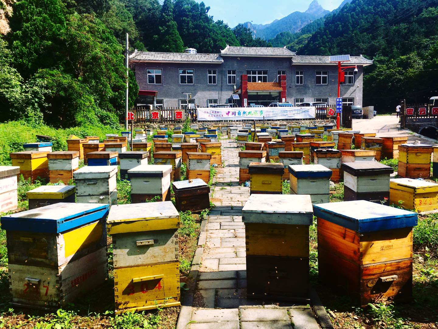 生态旅游的基金公司（生态旅游的基金公司都有哪些） 生态旅游的基金公司（生态旅游的基金公司都有哪些）《生态旅游投资》 基金动态