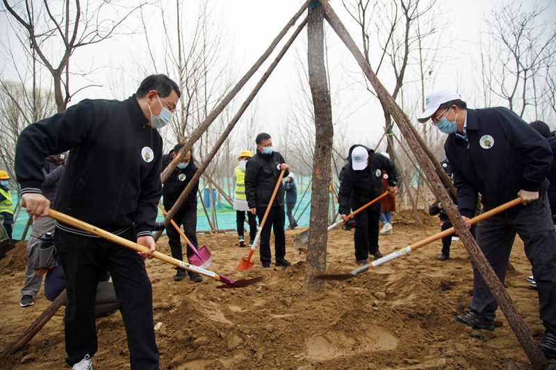 国家林草局机关干部参加义务植树