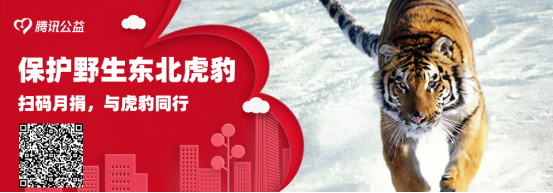 1dc092cd356542a4b5340511cf1fadb1.png