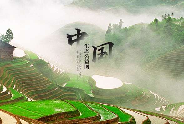 携手行业各界 筑梦生态中国 ——“中国生态公益网”正式上线试运营