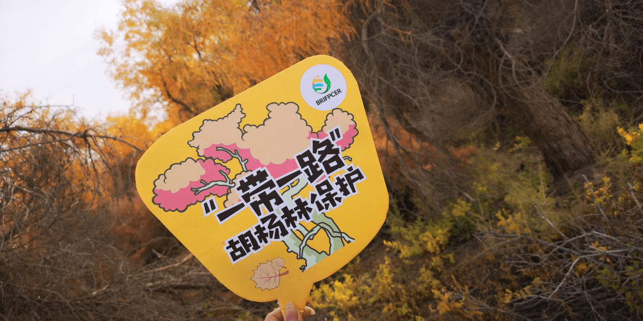 1547171429697870.png 图片1.png