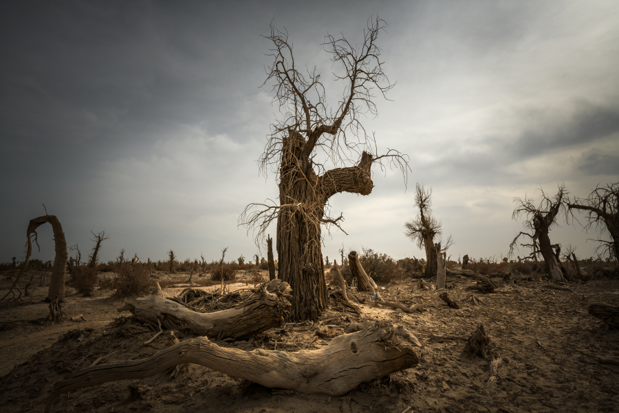 1547178798366434.jpg _DSC3360-1_副本.jpg