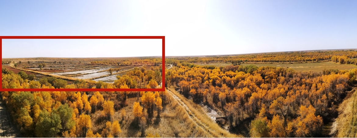 1547171993331549.jpg 图片3_副本.jpg