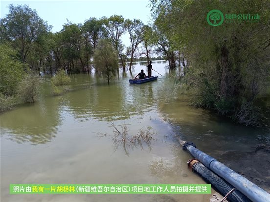 我有一片胡杨林-新疆-04