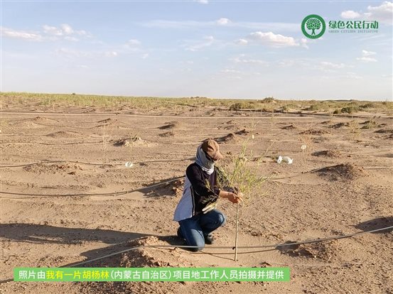 我有一片胡杨林-内蒙古-05