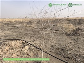 微信图片_20250221005628