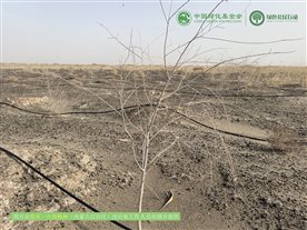 微信图片_20250221005410