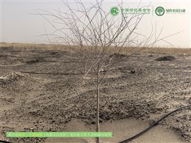 微信图片_20250221005507