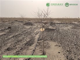 微信图片_20250221005449